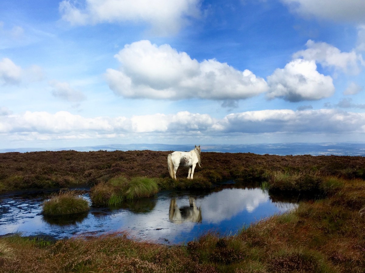 Black mountains, Wales